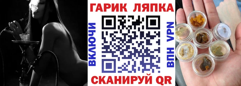 ГАШ Premium Западная Двина