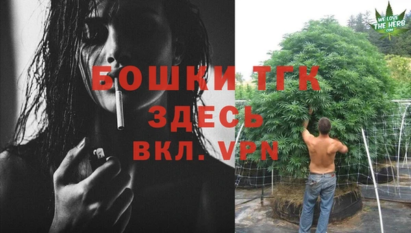 трава Пересвет