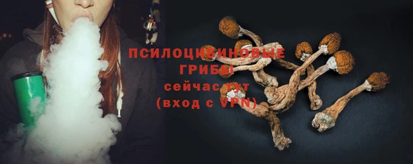 ПСИЛОЦИБИНОВЫЕ ГРИБЫ Переславль-Залесский