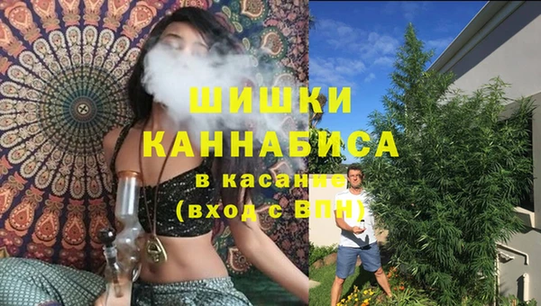ПСИЛОЦИБИНОВЫЕ ГРИБЫ Переславль-Залесский