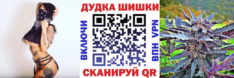 купить наркотик  Западная Двина  блэк спрут tor  Каннабис семена 